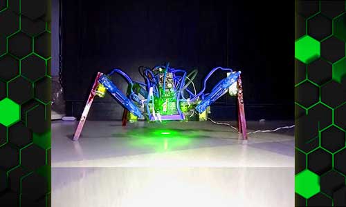 Spider robot